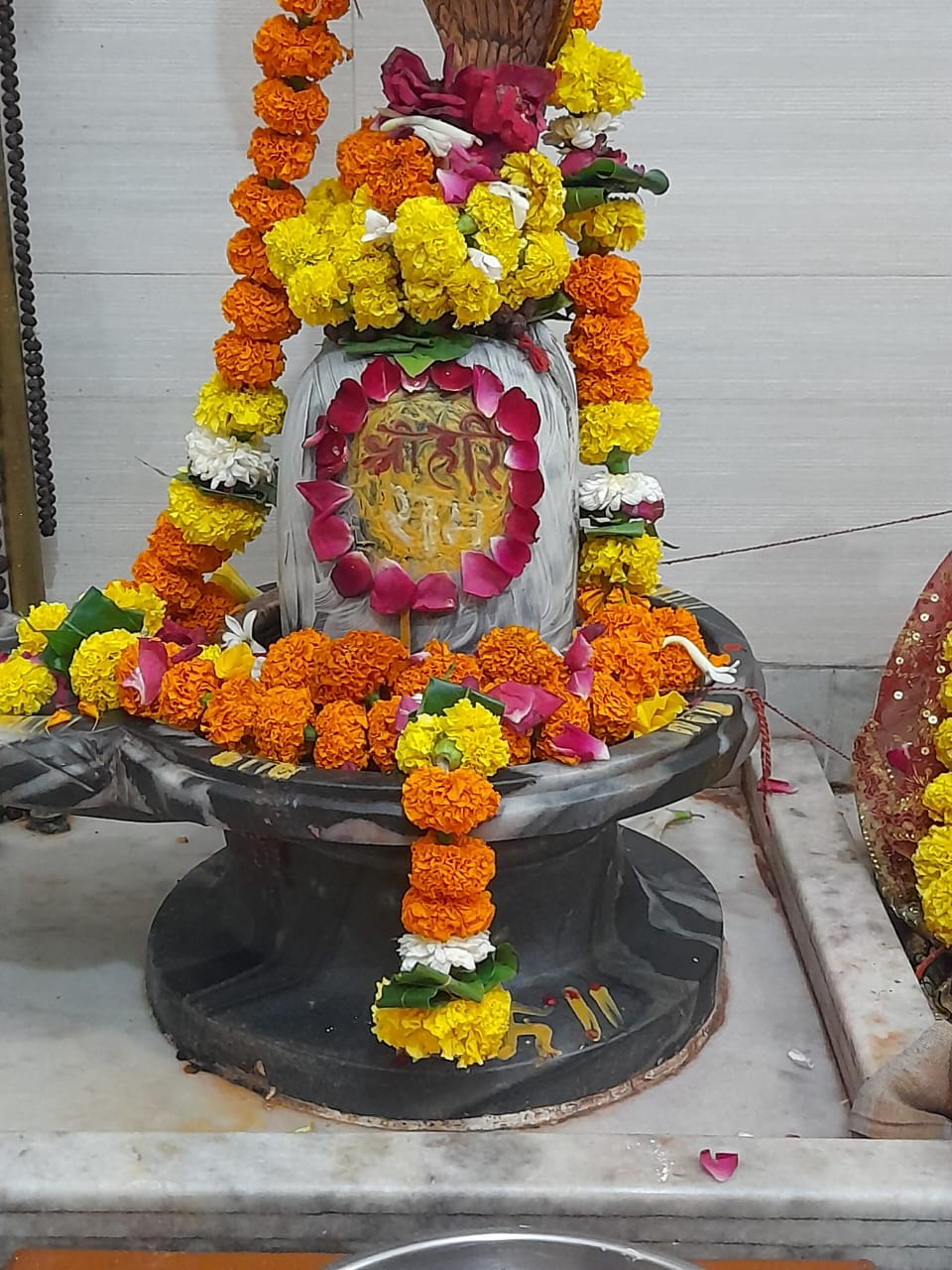 Drishti Enclave Slide